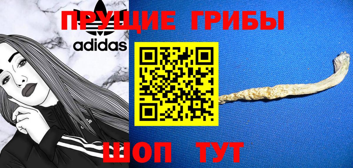 Псилоцибиновые грибы прущие грибы  Вход с VPN  Моздок  Галлюциногенные грибы прущие грибы 